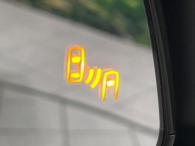 26773957_carP_l_14.jpg