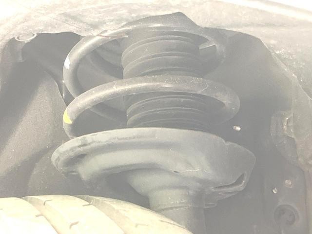 25673647_carP_l_18.jpg