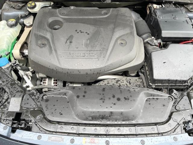 26251592_carP_l_18.jpg