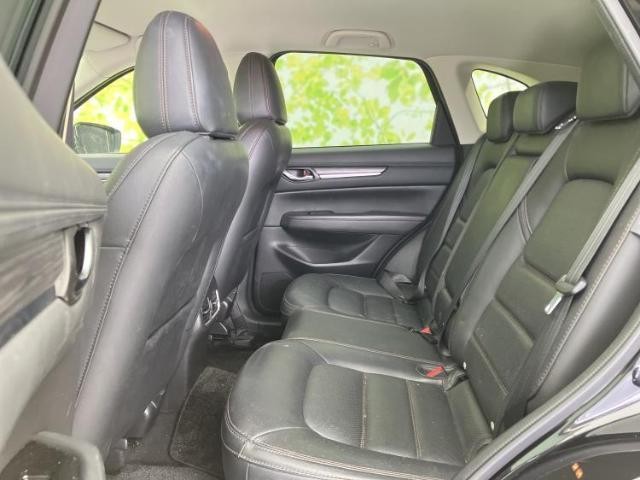 24731942_carP_l_14.jpg