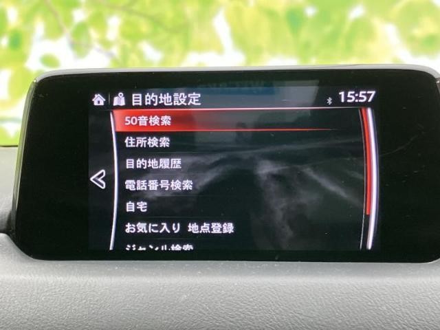24731942_carP_l_19.jpg