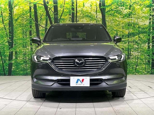 26293253_carP_l_9.jpg