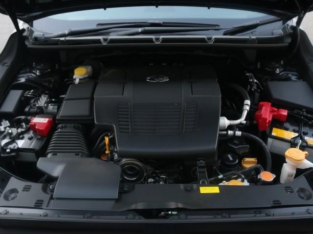 25123159_carP_l_17.jpg