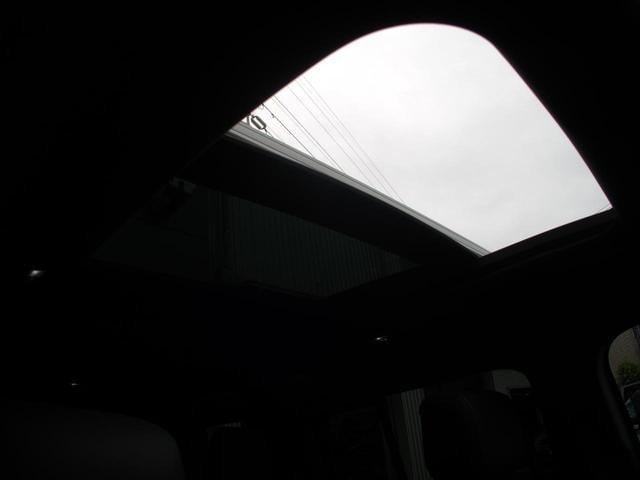 25015094_carP_l_4.jpg