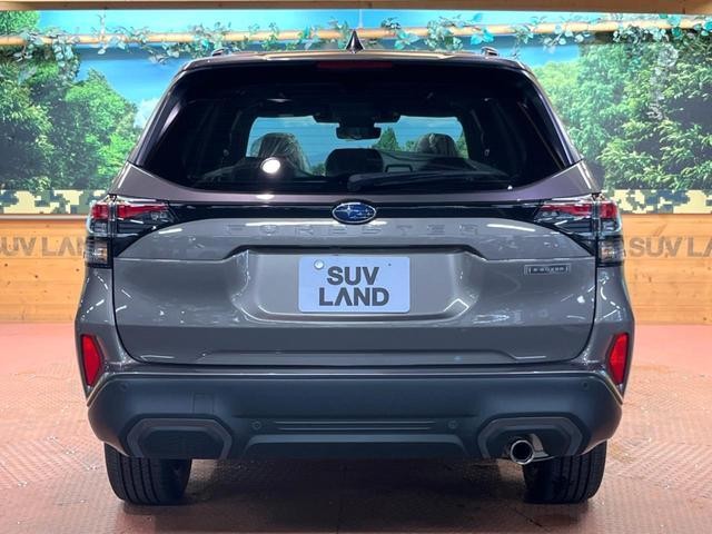 26002172_carP_l_12.jpg