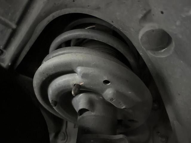 26230819_carP_l_20.jpg