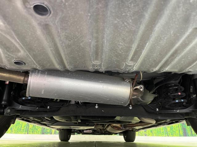 24706058_carP_l_16.jpg