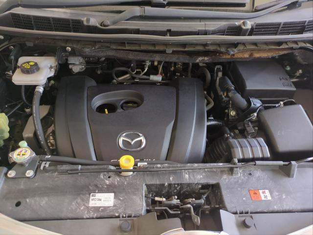 24561702_carP_l_17.jpg