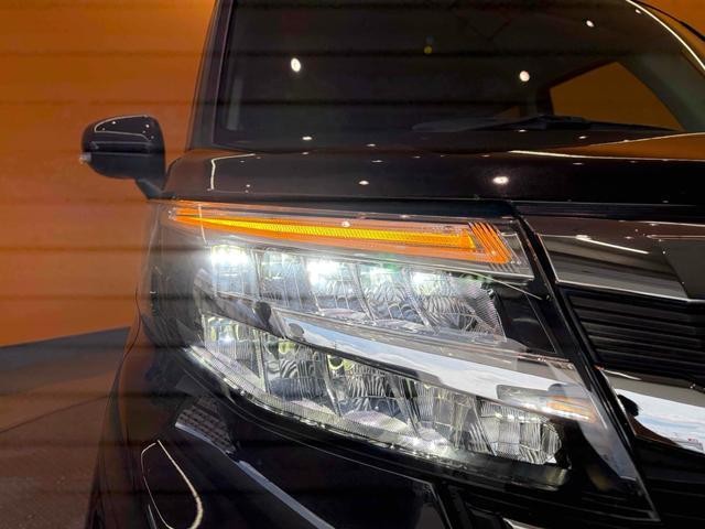 25030648_carP_l_12.jpg