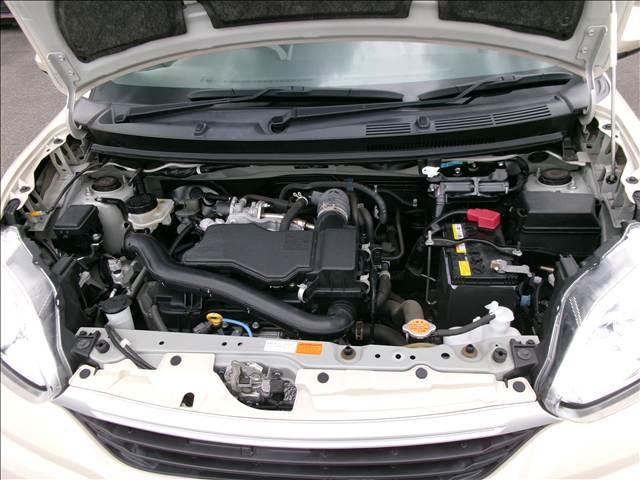 24217982_carP_l_18.jpg