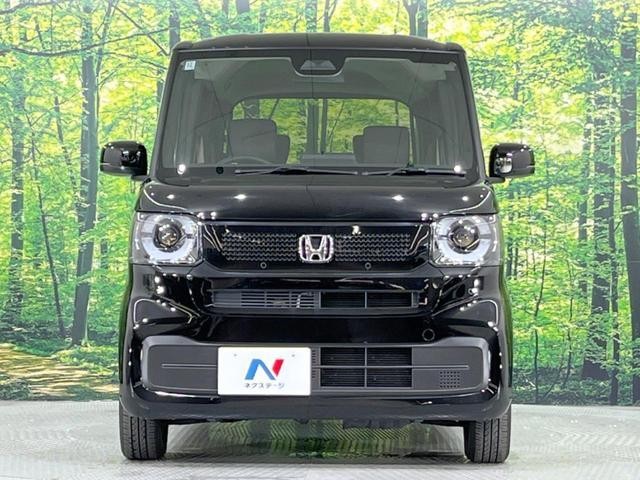 24932556_carP_l_8.jpg