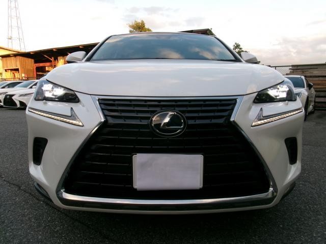 26745485_carP_l_2.jpg
