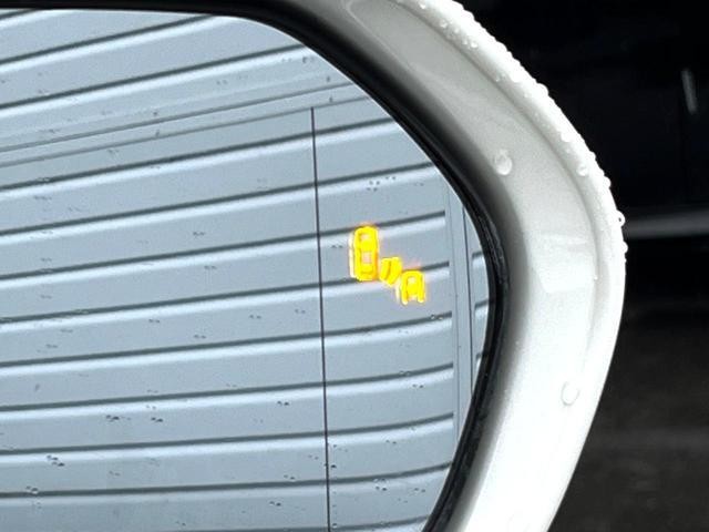 26230820_carP_l_17.jpg