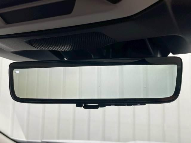 23106838_carP_l_17.jpg