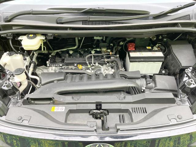 24280109_carP_l_18.jpg