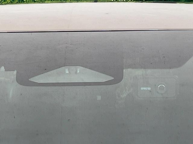 26002254_carP_l_13.jpg
