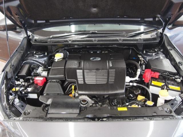 26407584_carP_l_17.jpg