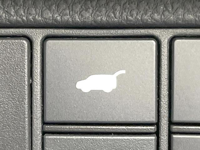 25591630_carP_l_13.jpg