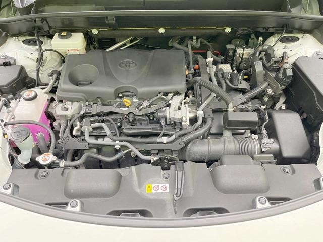 25506920_carP_l_16.jpg