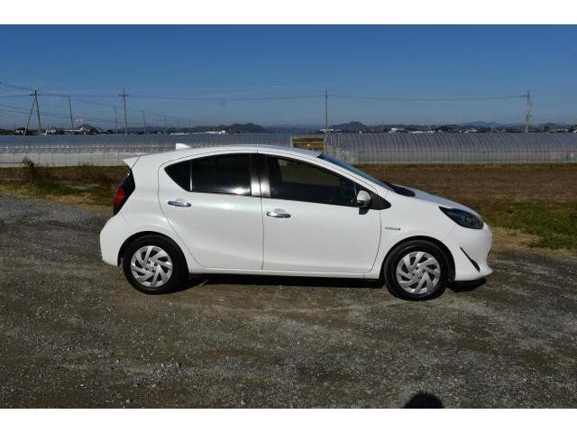 21219135_carP_l_4.jpg