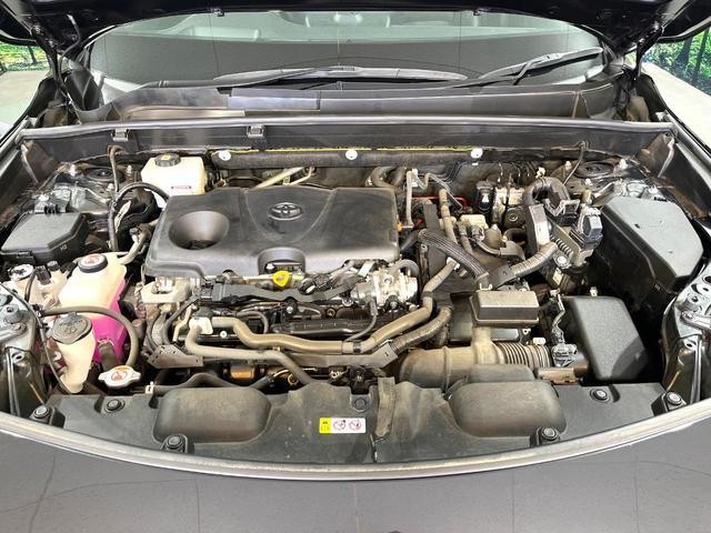 26002314_carP_l_16.jpg