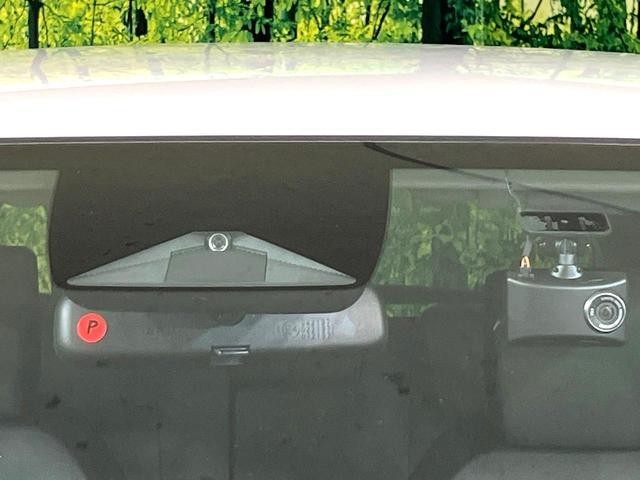 25714470_carP_l_15.jpg