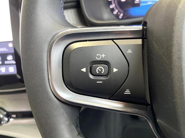 24849293_carP_l_6.jpg