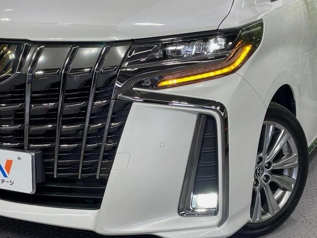24932927_carP_l_7.jpg