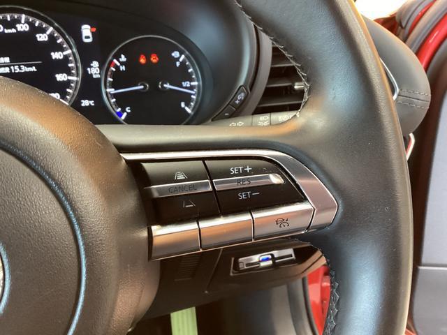 24065096_carP_l_2.jpg
