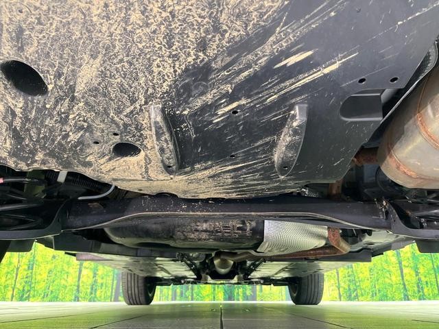 25714493_carP_l_18.jpg