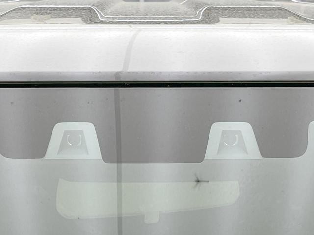 25506924_carP_l_15.jpg