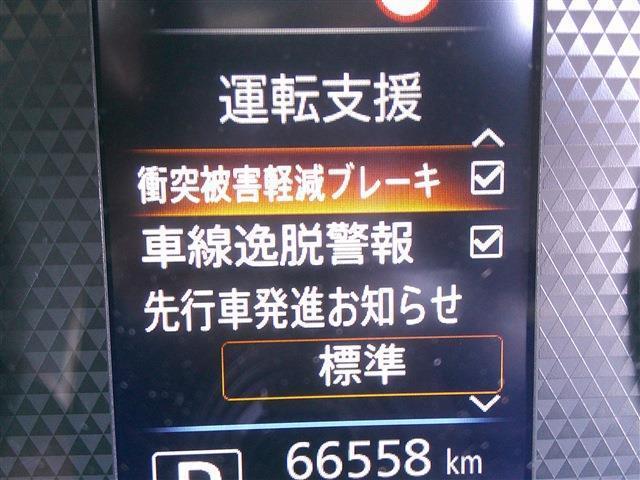 23971081_carP_l_6.jpg
