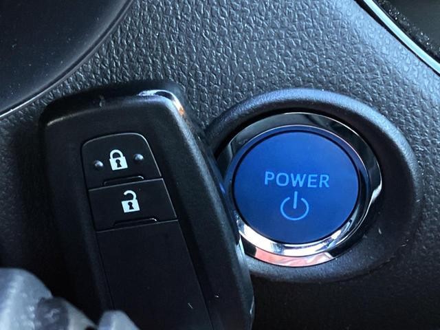 25694603_carP_l_2.jpg