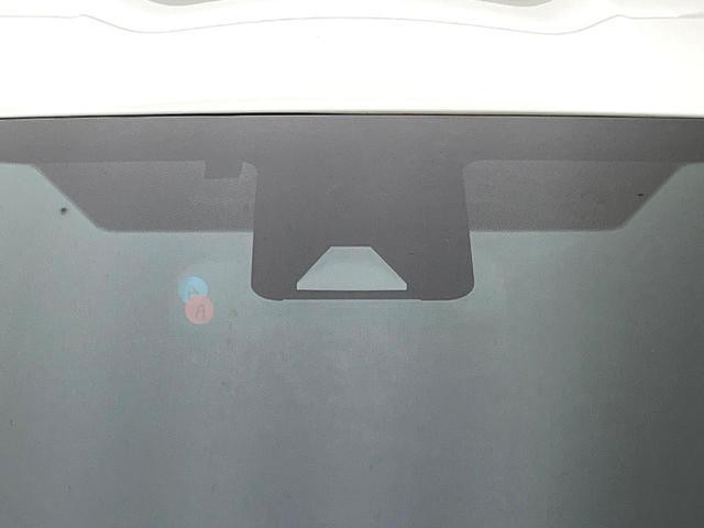 25506931_carP_l_10.jpg