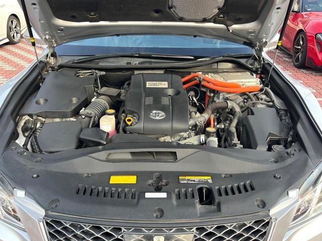 26577790_carP_l_16.jpg