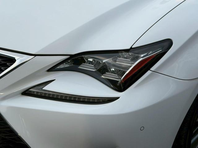 24112663_carP_l_10.jpg