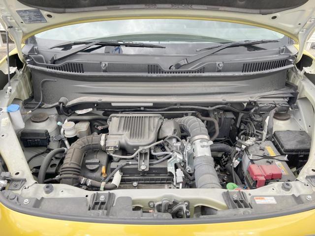 24481659_carP_l_16.jpg