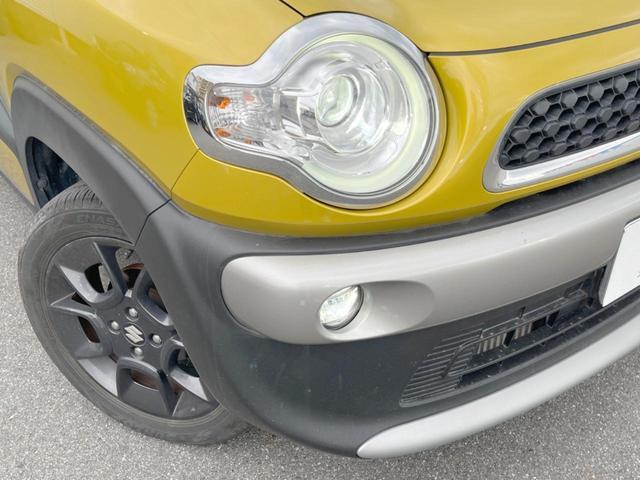 24481659_carP_l_6.jpg