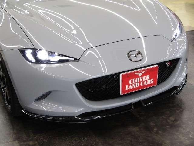 25695933_carP_l_12.jpg
