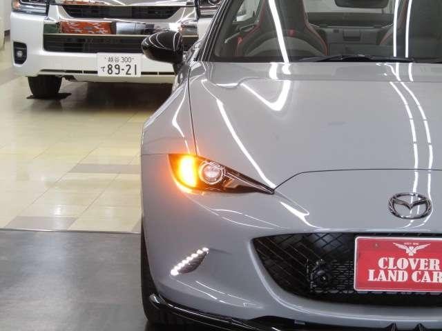 25695933_carP_l_13.jpg