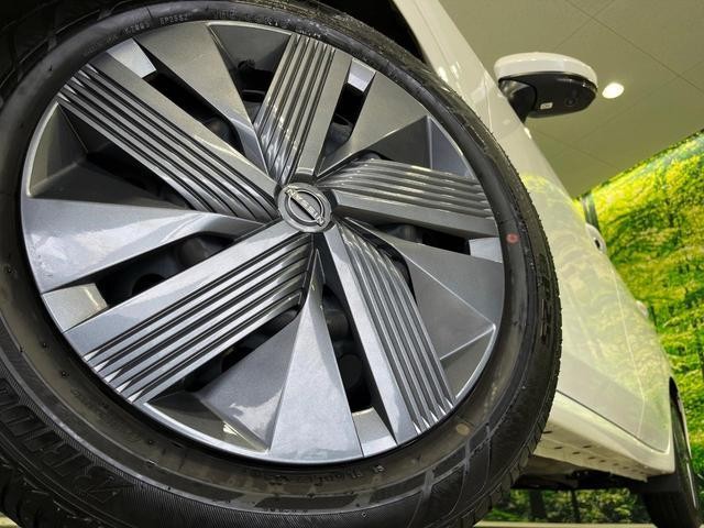 25425794_carP_l_7.jpg