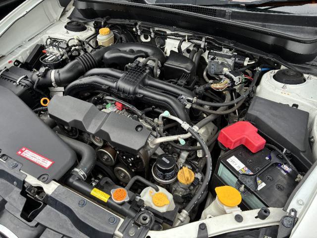 25158961_carP_l_7.jpg