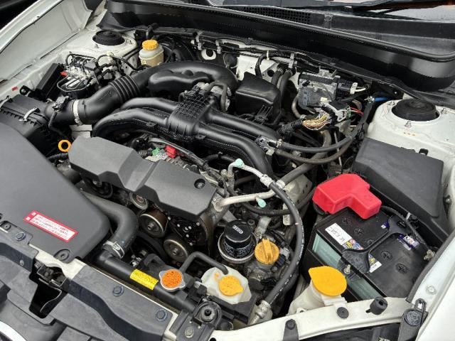 25158961_carP_l_7.jpg
