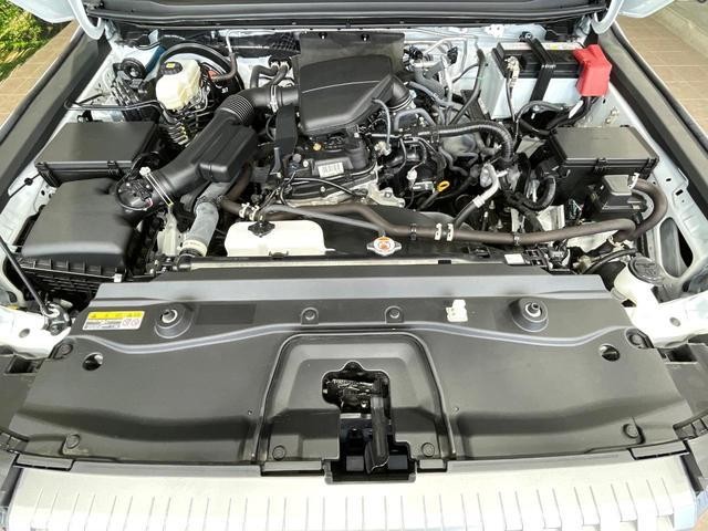 25633269_carP_l_18.jpg