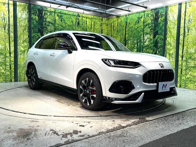 25904221_carP_l_11.jpg
