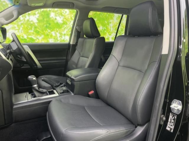 24245068_carP_l_13.jpg