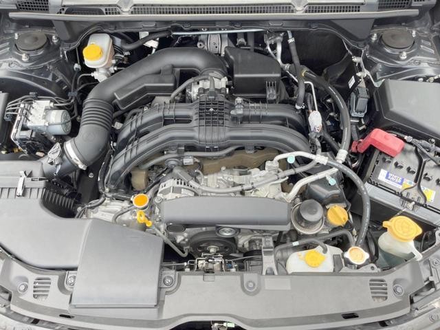 26425149_carP_l_16.jpg