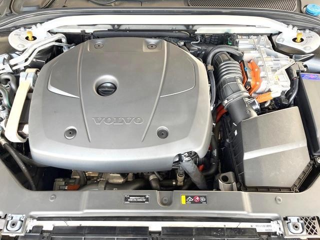 25405231_carP_l_20.jpg