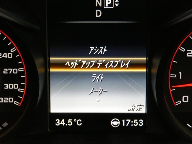 25220405_carP_l_12.jpg