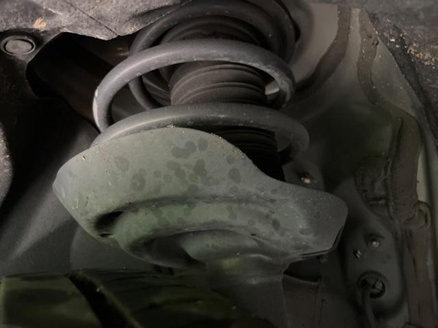 26230679_carP_l_20.jpg